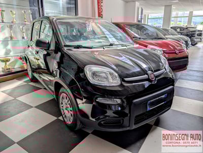 Fiat Panda 1.0 FireFly S&amp;S Hybrid City Cross del 2023 usata a Cortona