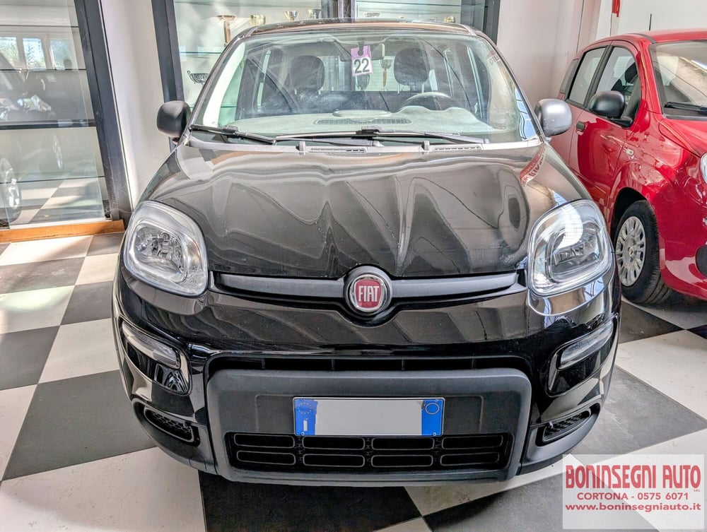 Fiat Panda usata a Arezzo (2)