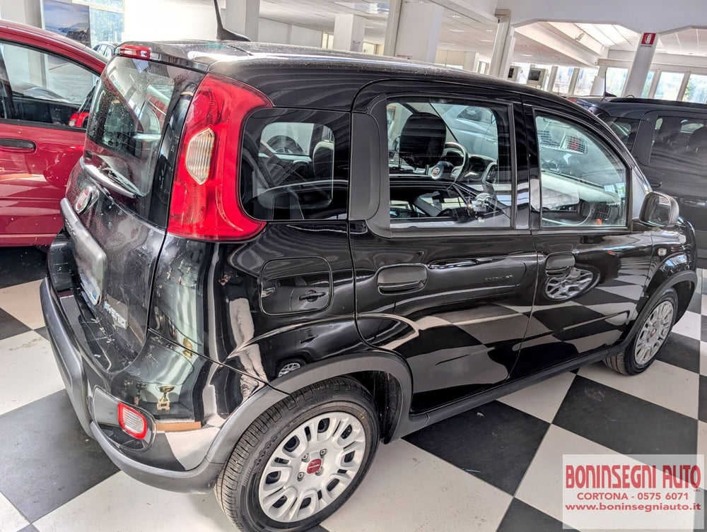 Fiat Panda usata a Arezzo (4)