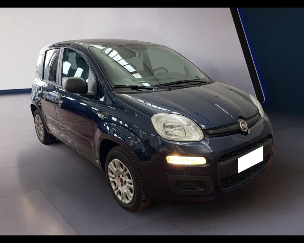 Fiat Panda usata a Torino (8)