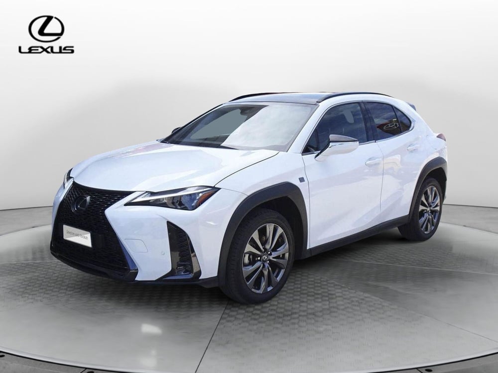 Lexus UX usata a Treviso