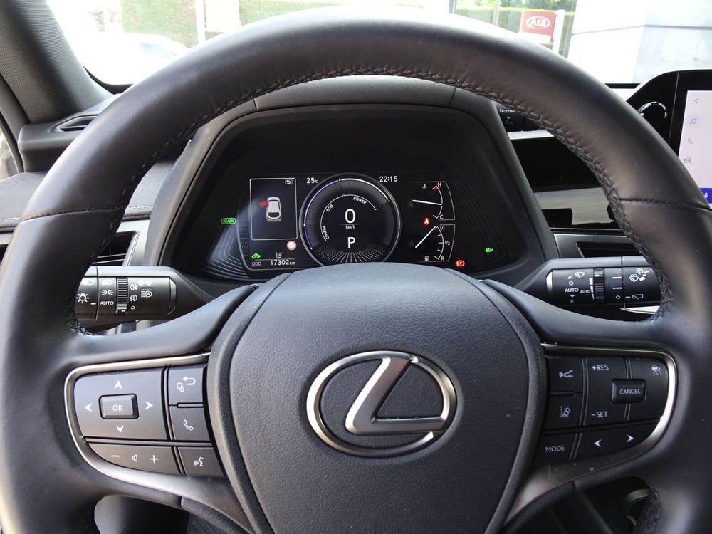 Lexus UX usata a Treviso (12)