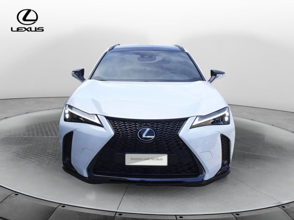 Lexus UX usata a Treviso (2)