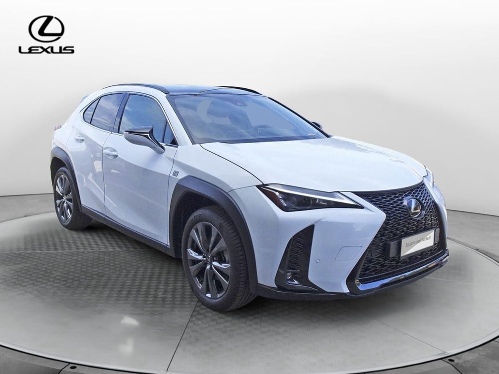 Lexus UX usata a Treviso (3)