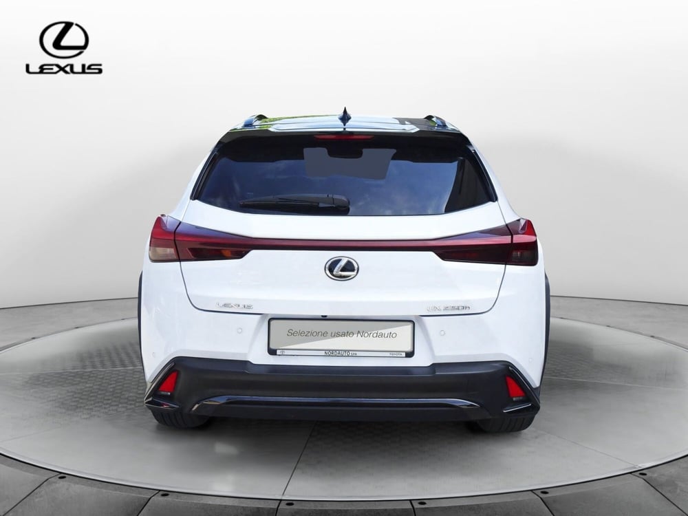 Lexus UX usata a Treviso (6)