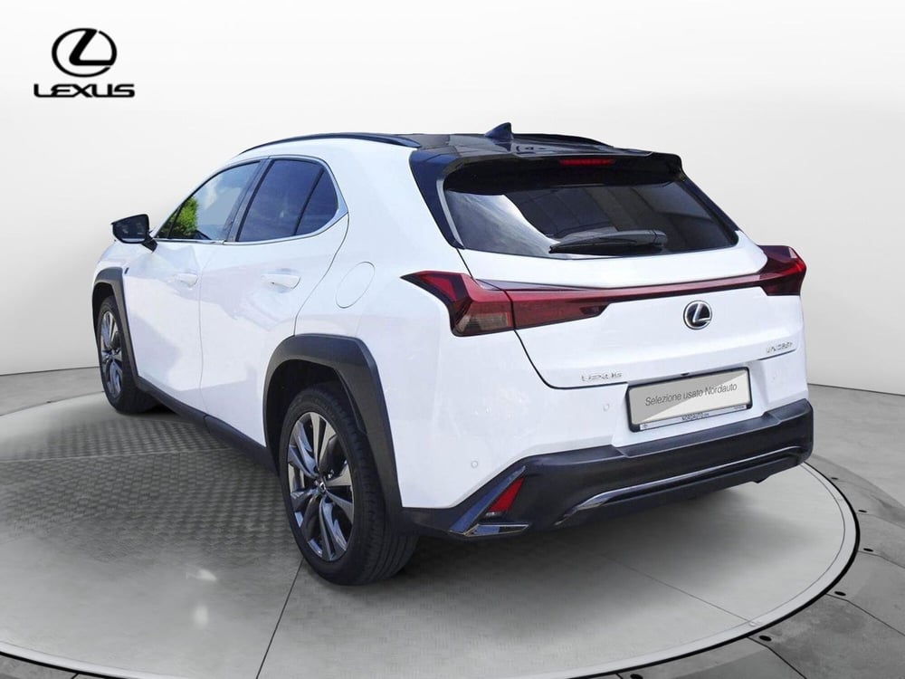 Lexus UX usata a Treviso (7)