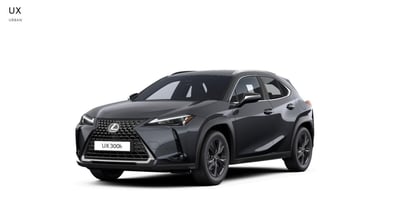 Lexus UX 300h 2.0 Urban 2wd cvt nuova a Cremona