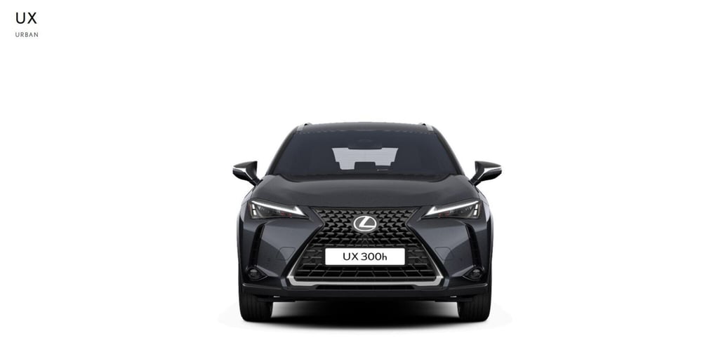 Lexus UX nuova a Cremona (3)