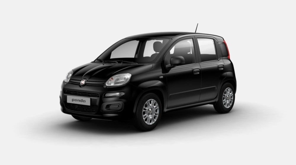 Fiat Panda nuova a Siena