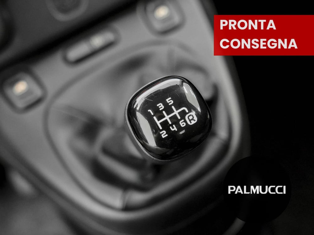 Fiat Panda Cross usata a Prato (11)