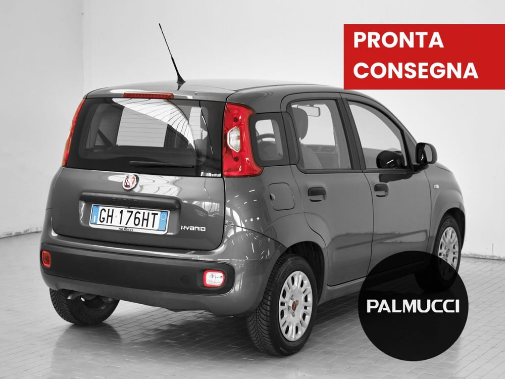 Fiat Panda Cross usata a Prato (2)