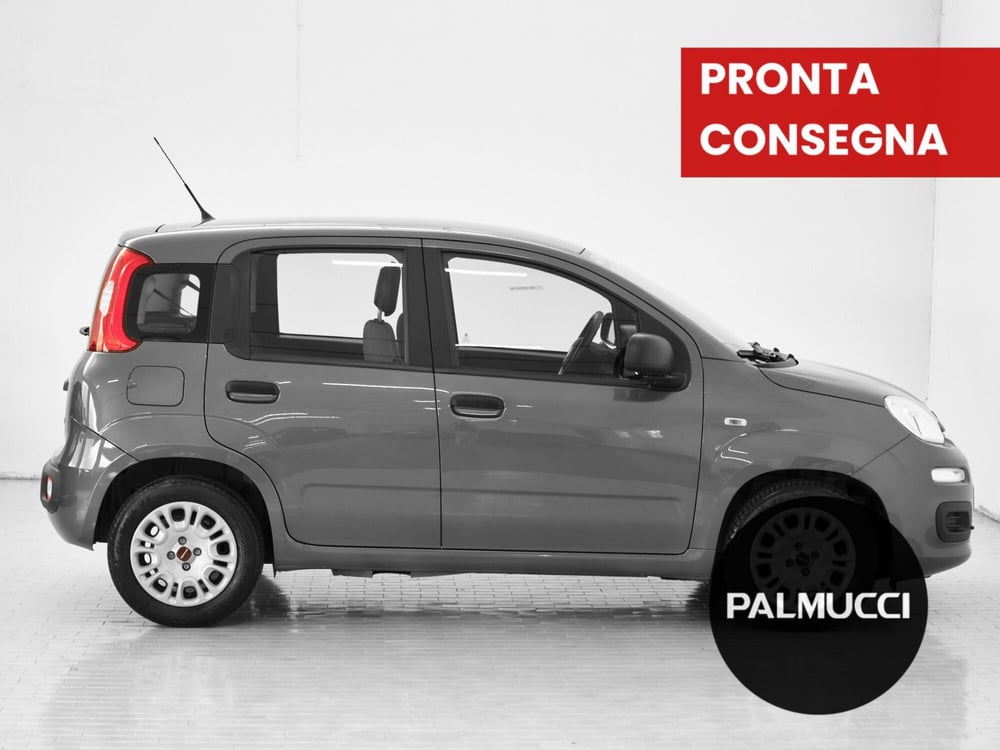 Fiat Panda Cross usata a Prato (3)