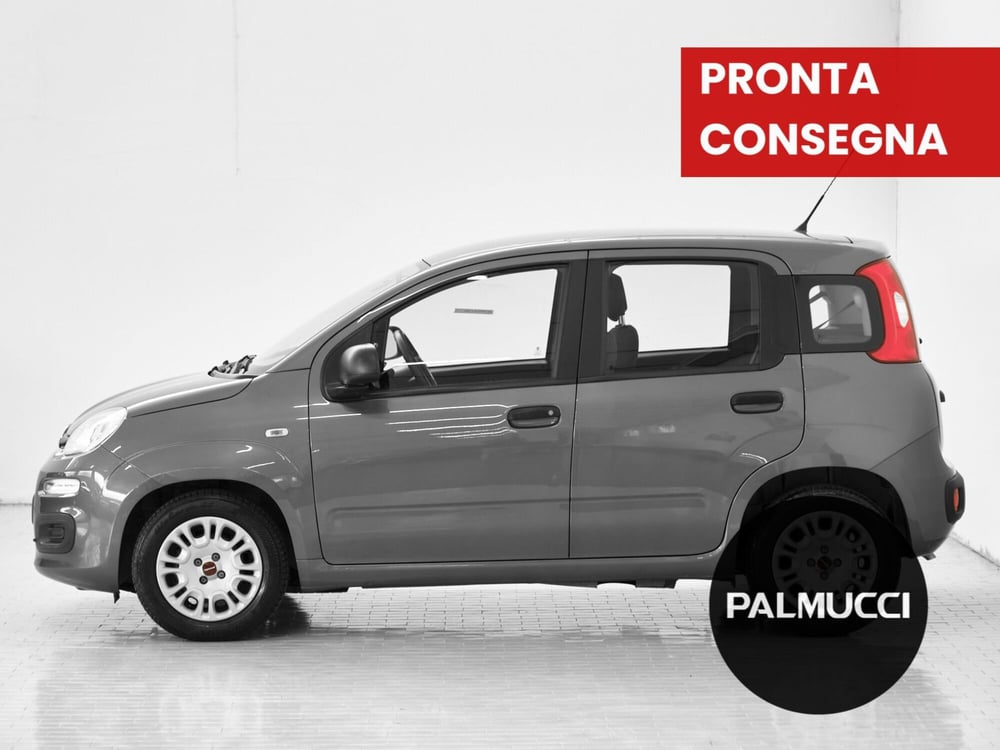 Fiat Panda Cross usata a Prato (4)
