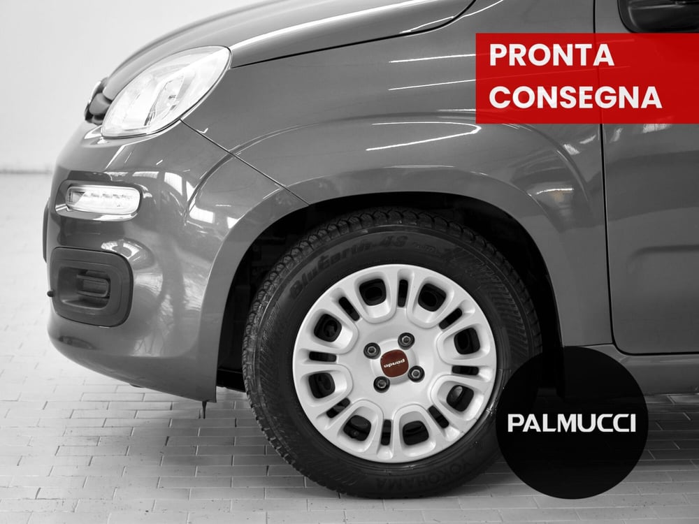 Fiat Panda Cross usata a Prato (5)