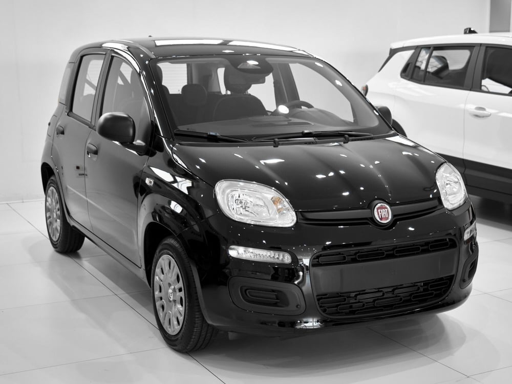 Fiat Panda Cross nuova a Prato (4)