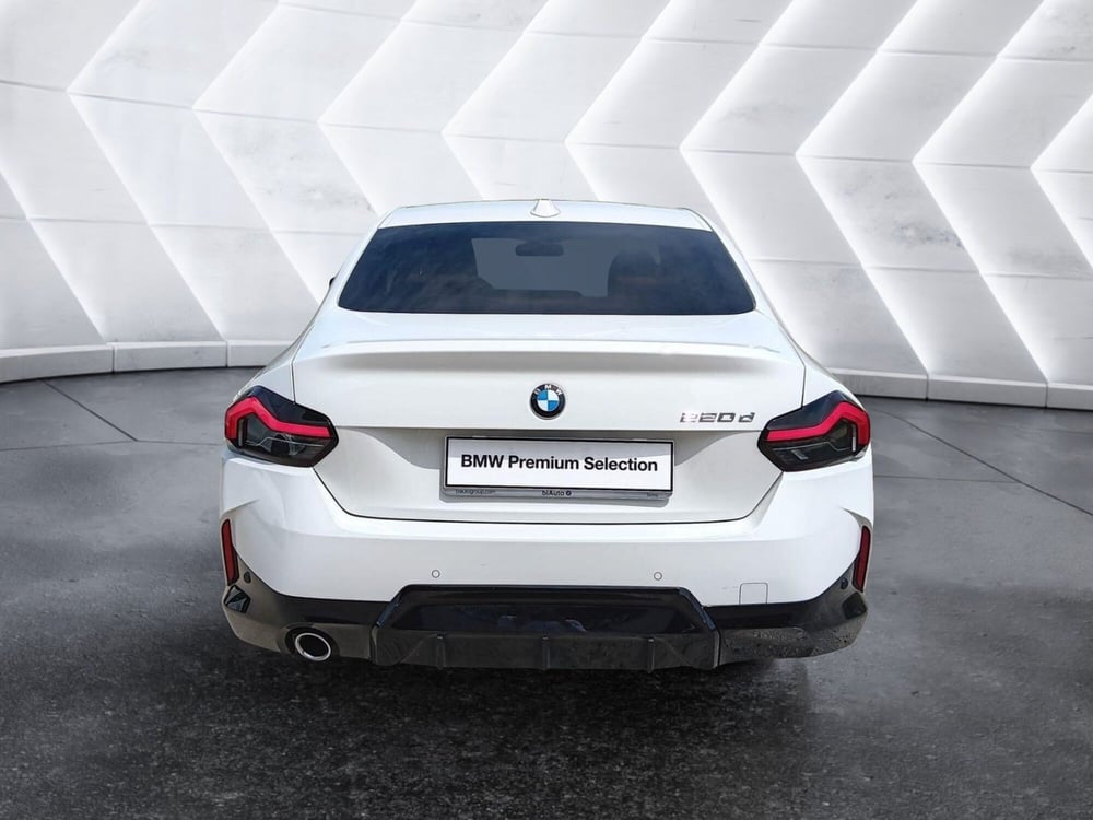 BMW Serie 2 Coupé usata a Asti (5)