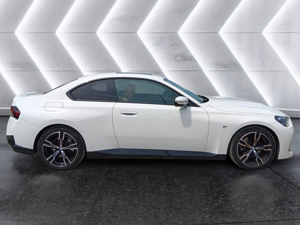 BMW Serie 2 Coupé usata a Asti (7)