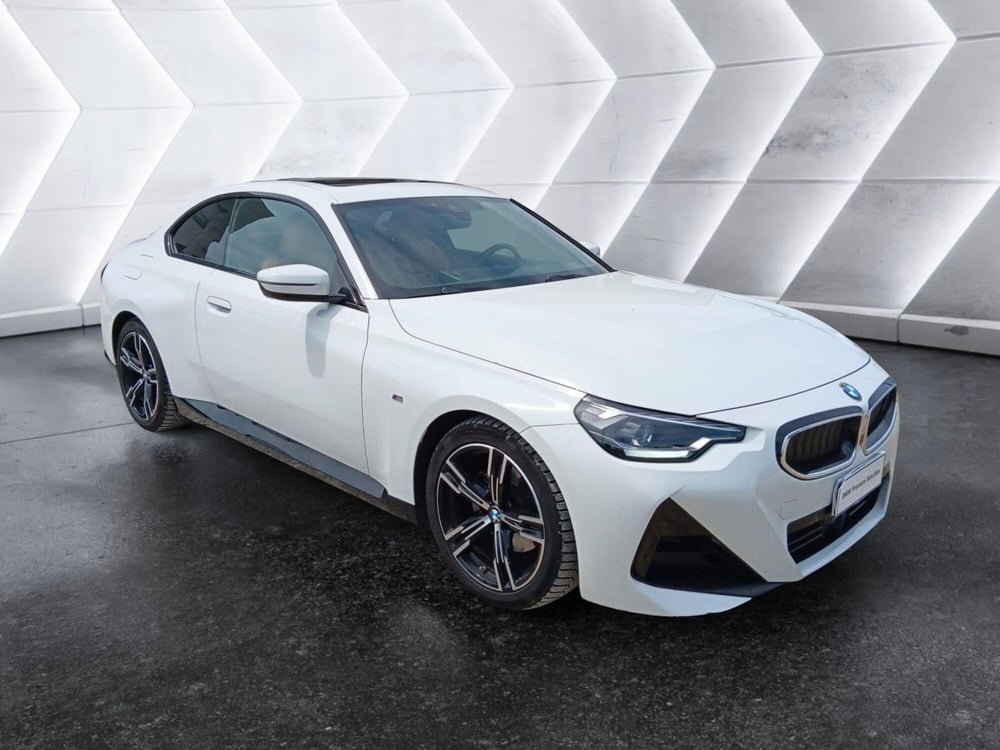 BMW Serie 2 Coupé usata a Asti (8)