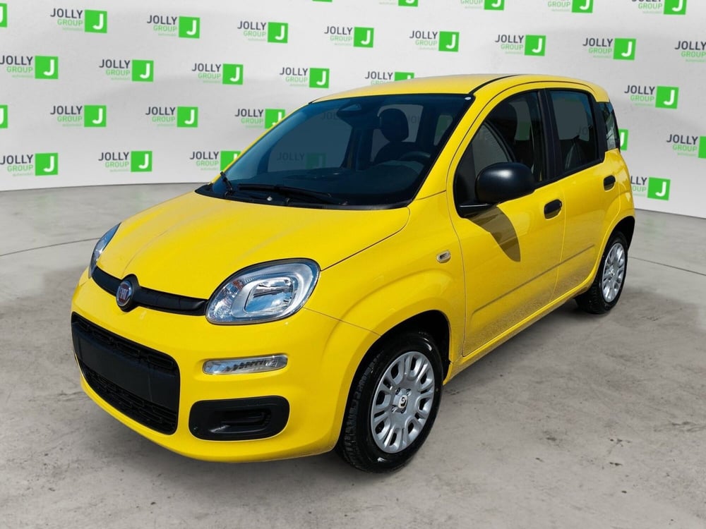 Fiat Panda nuova a Frosinone (2)