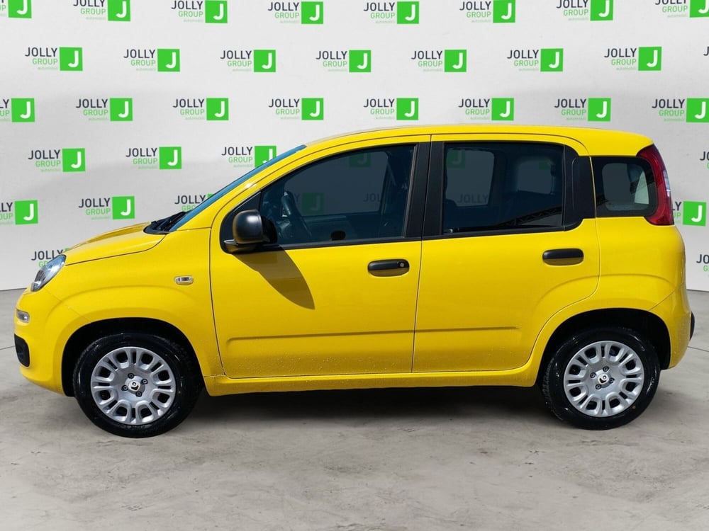 Fiat Panda nuova a Frosinone (3)