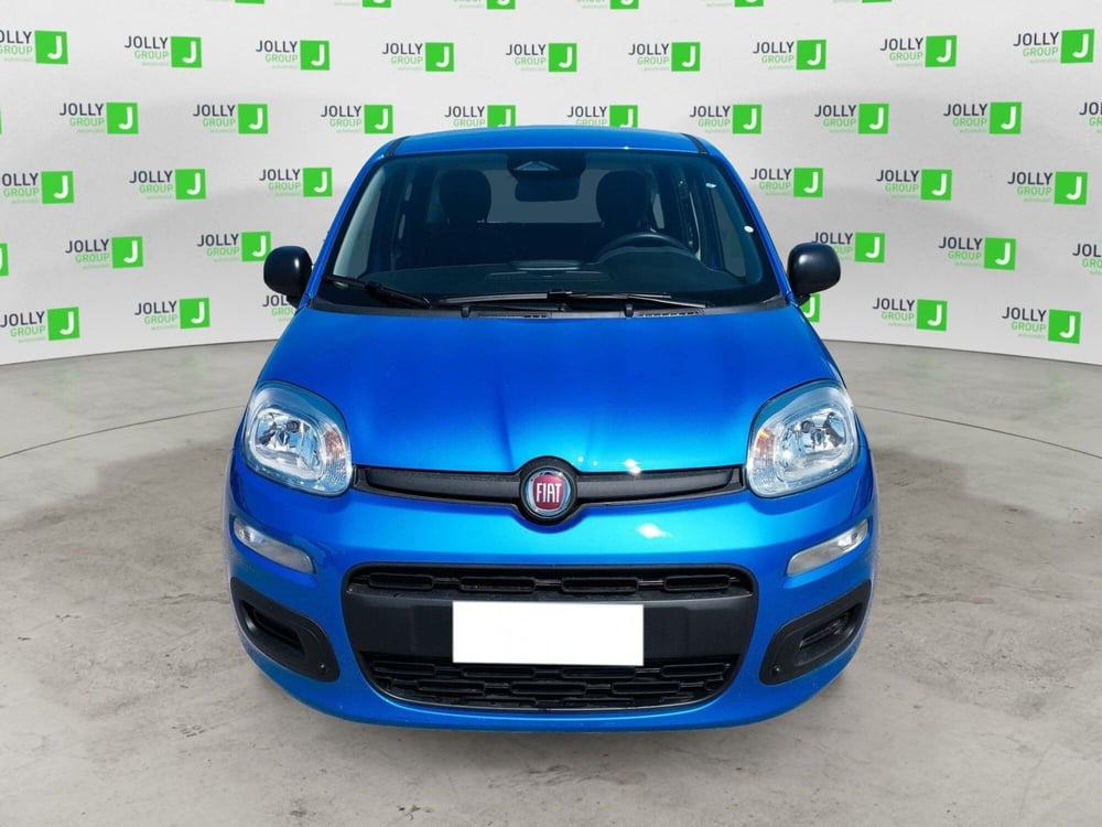 Fiat Panda nuova a Frosinone