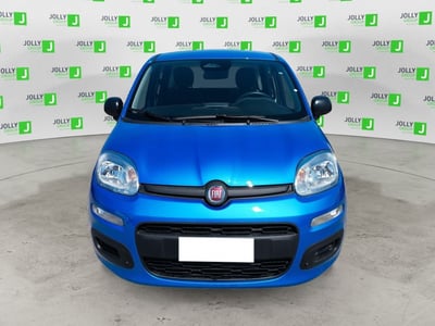 Fiat Panda 1.0 FireFly S&amp;S Hybrid City Cross nuova a Ceccano