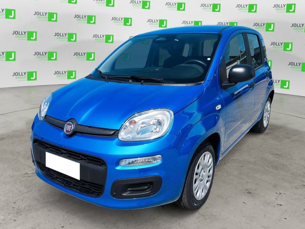 Fiat Panda nuova a Frosinone (2)