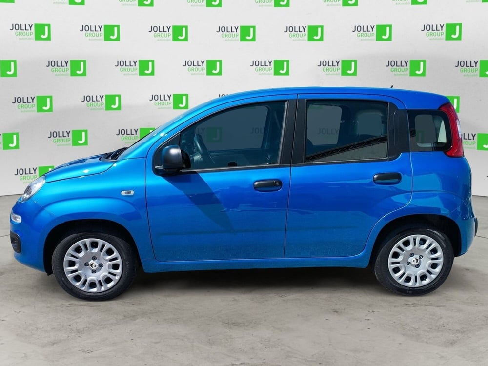 Fiat Panda nuova a Frosinone (3)