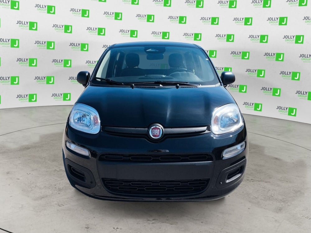 Fiat Panda nuova a Frosinone