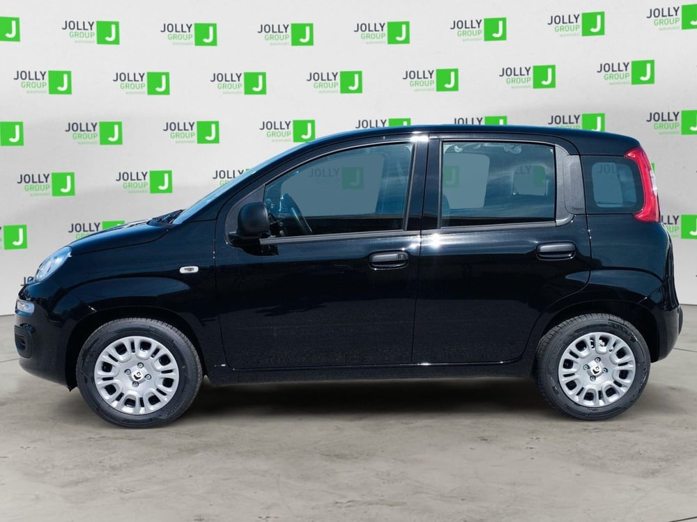 Fiat Panda nuova a Frosinone (3)