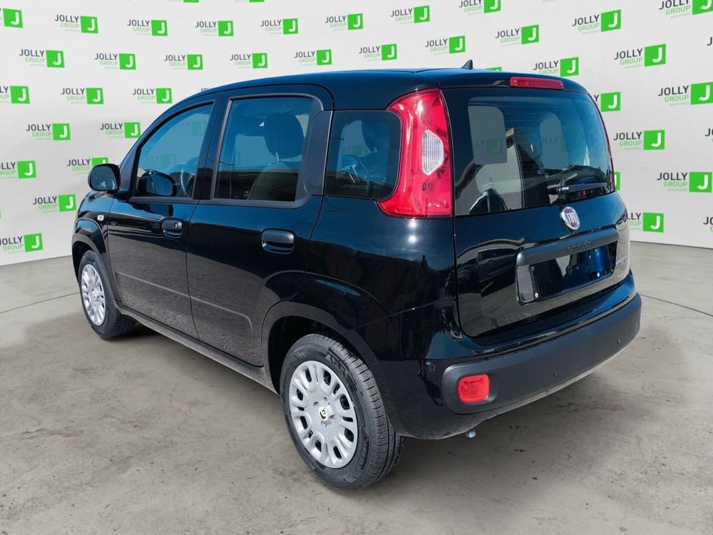 Fiat Panda nuova a Frosinone (4)
