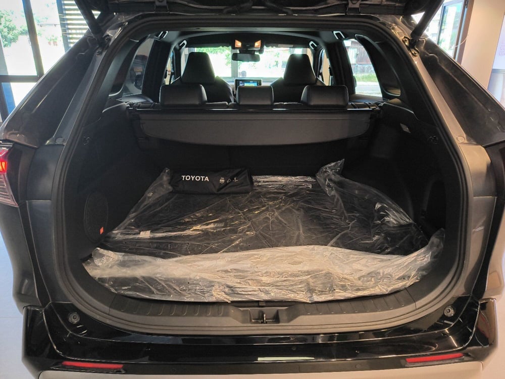 Toyota Rav4 usata a Catanzaro (14)