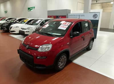 Fiat Panda 1.0 FireFly S&amp;S Hybrid City Cross nuova a Altopascio
