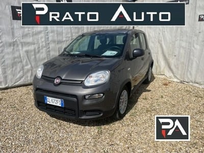 Fiat Panda 1.0 firefly hybrid s&amp;s 70cv 5p.ti del 2022 usata a Prato