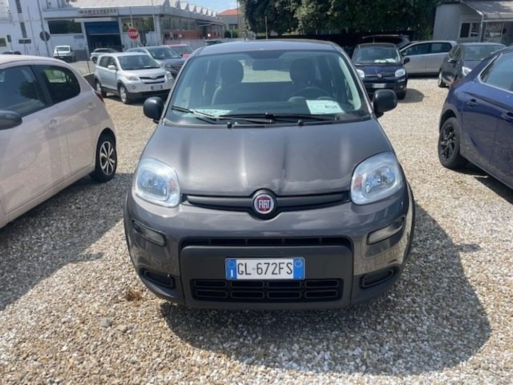 Fiat Panda usata a Prato (2)