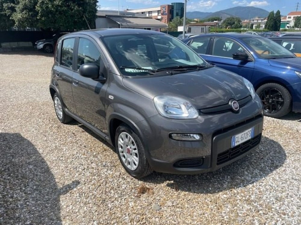 Fiat Panda usata a Prato (3)
