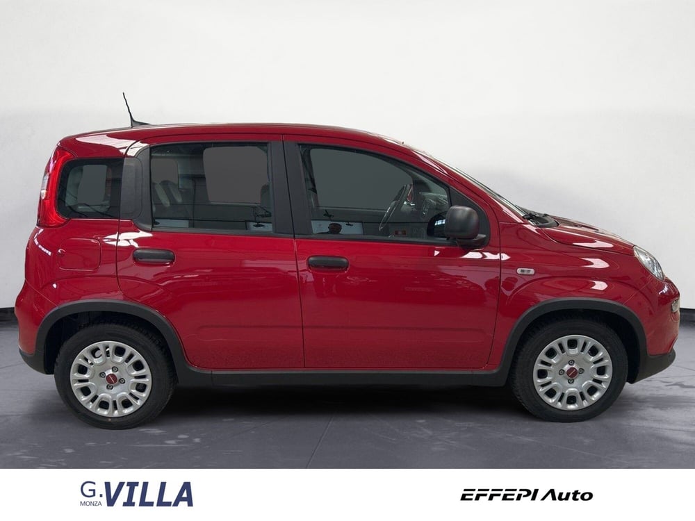 Fiat Panda Cross nuova a Monza e Brianza (6)