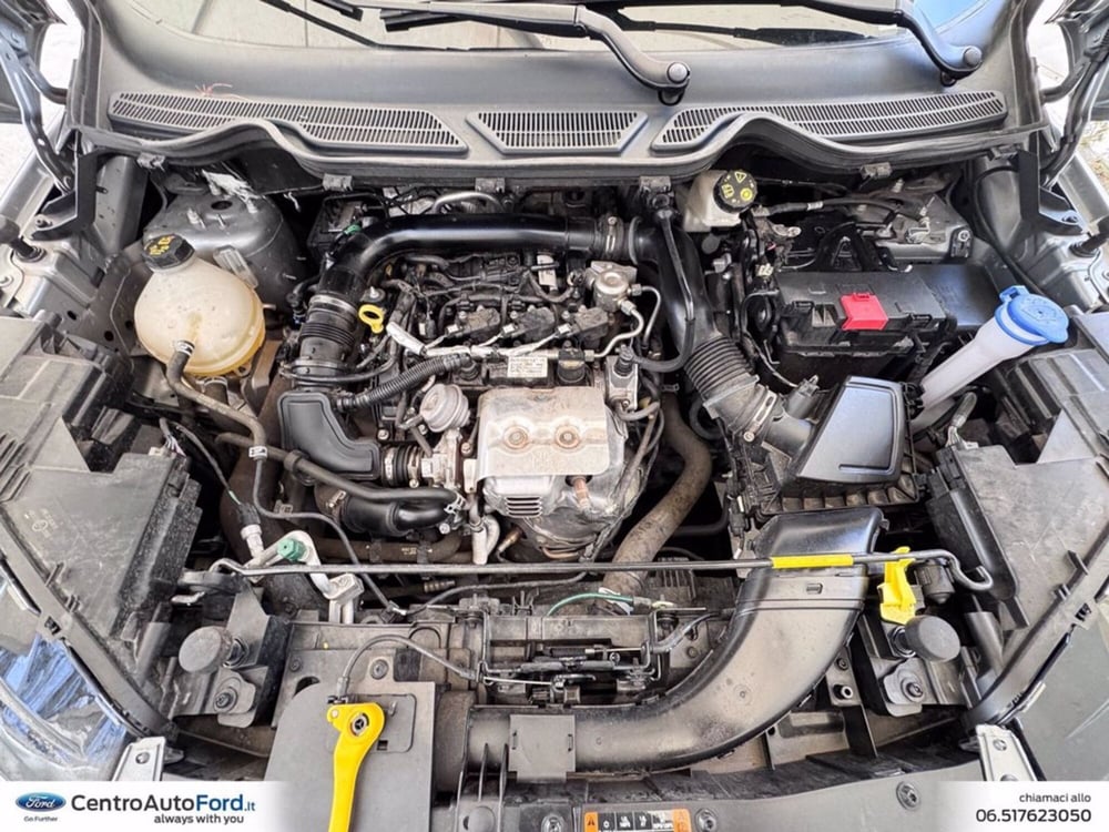 Ford EcoSport usata a Roma (12)