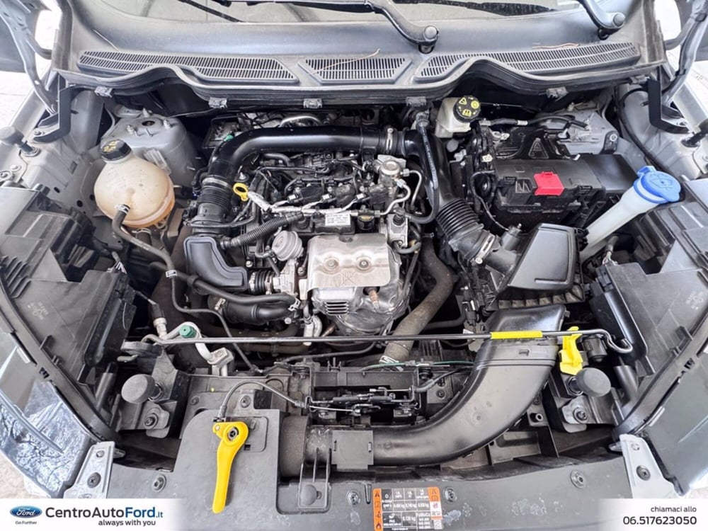 Ford EcoSport usata a Roma (12)
