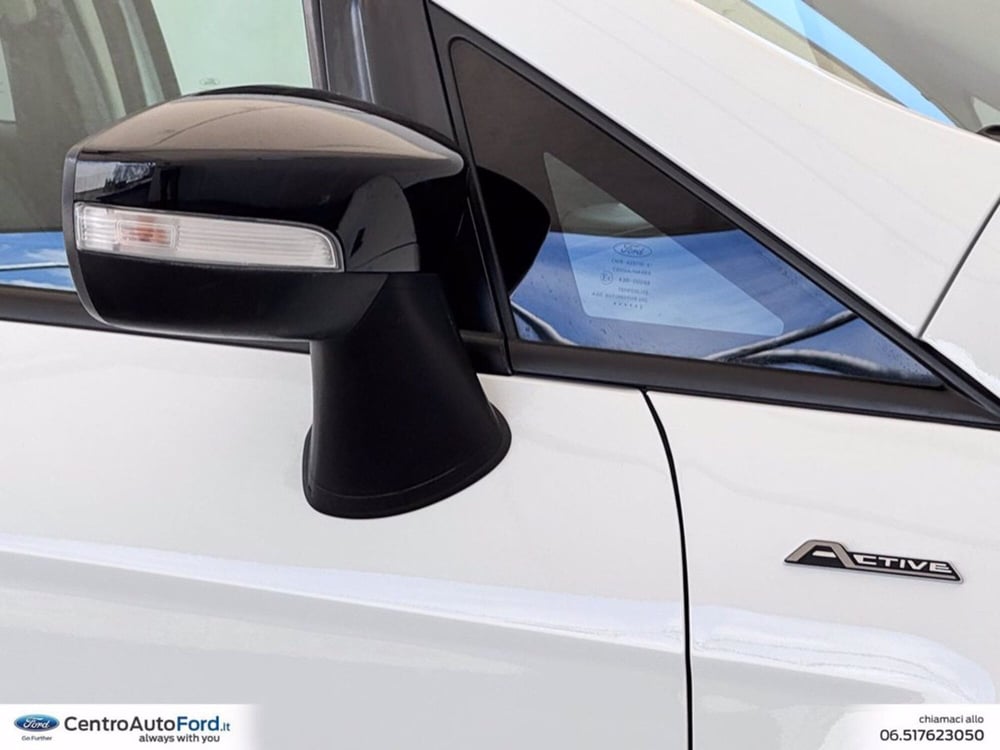 Ford EcoSport usata a Roma (15)