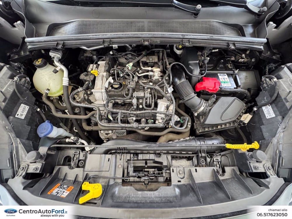 Ford Puma usata a Roma (12)