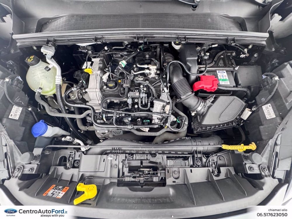 Ford Puma usata a Roma (12)