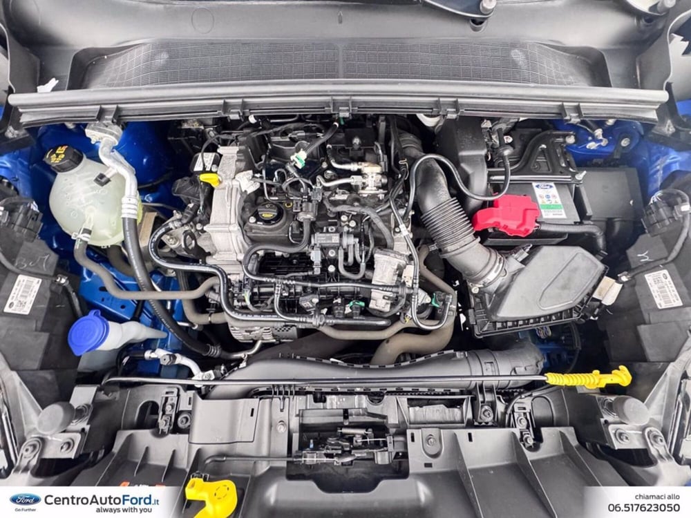 Ford Puma usata a Roma (12)