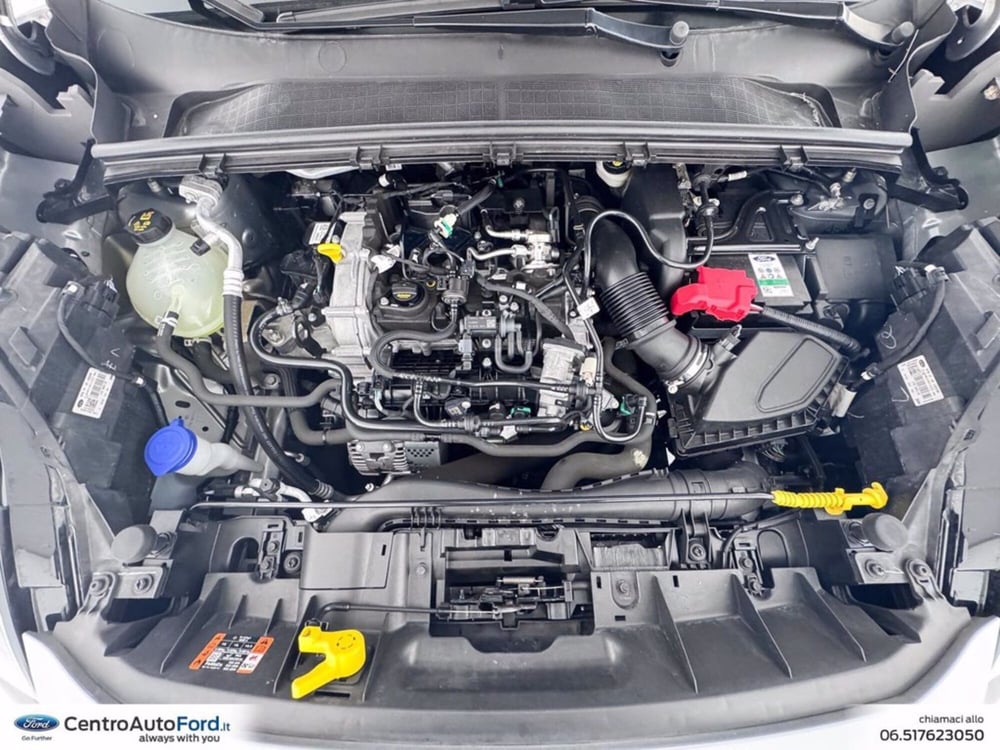Ford Puma usata a Roma (12)