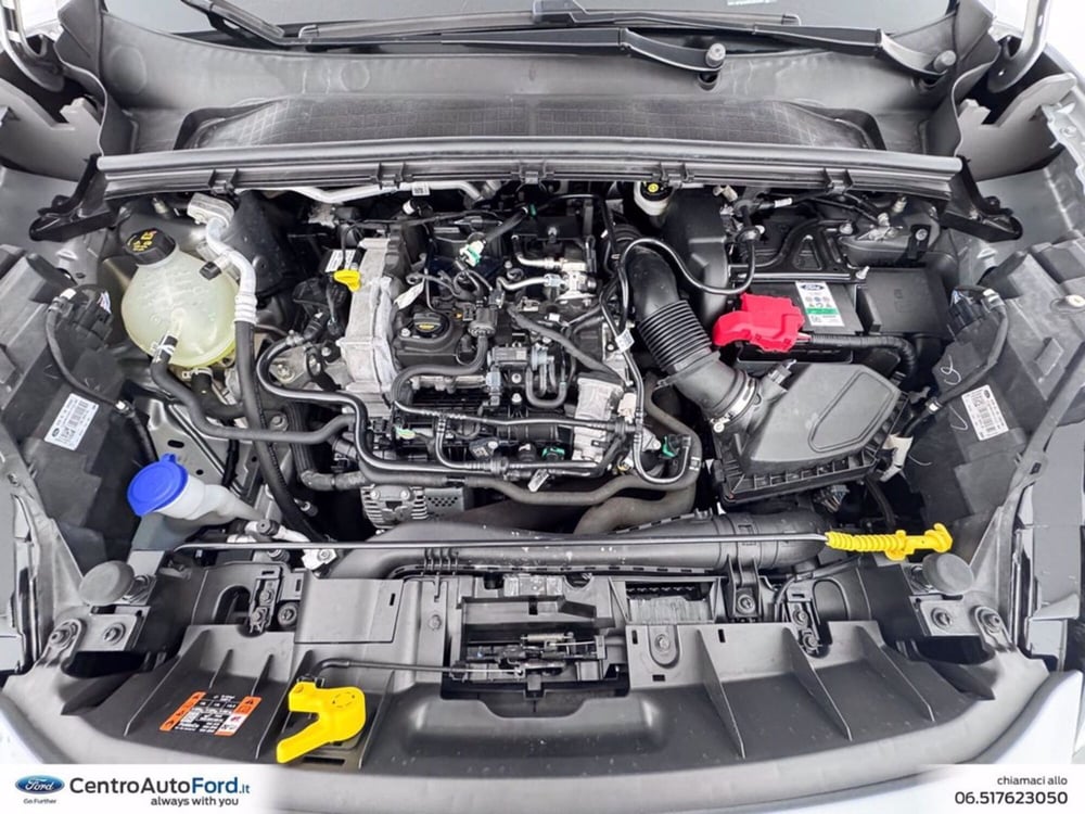 Ford Puma usata a Roma (12)