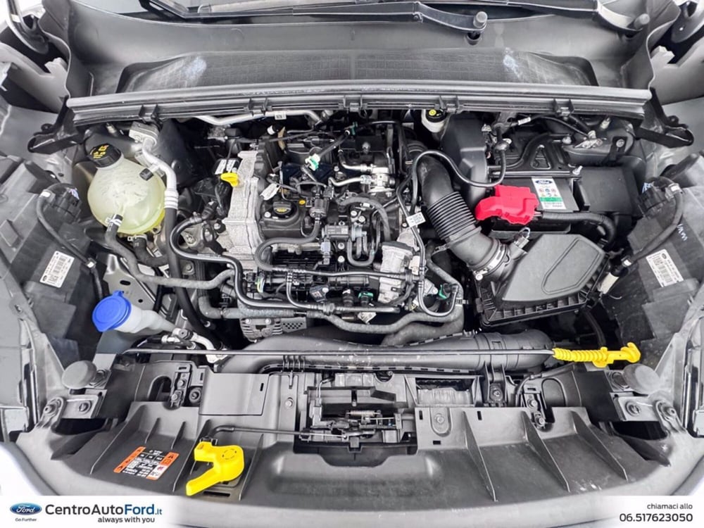 Ford Puma usata a Roma (12)