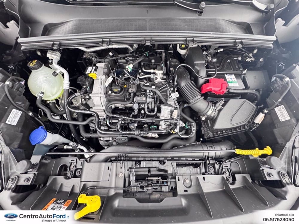 Ford Puma usata a Roma (12)