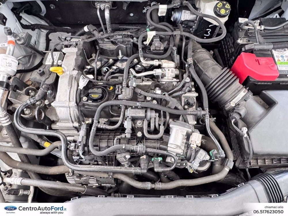 Ford Focus usata a Roma (12)