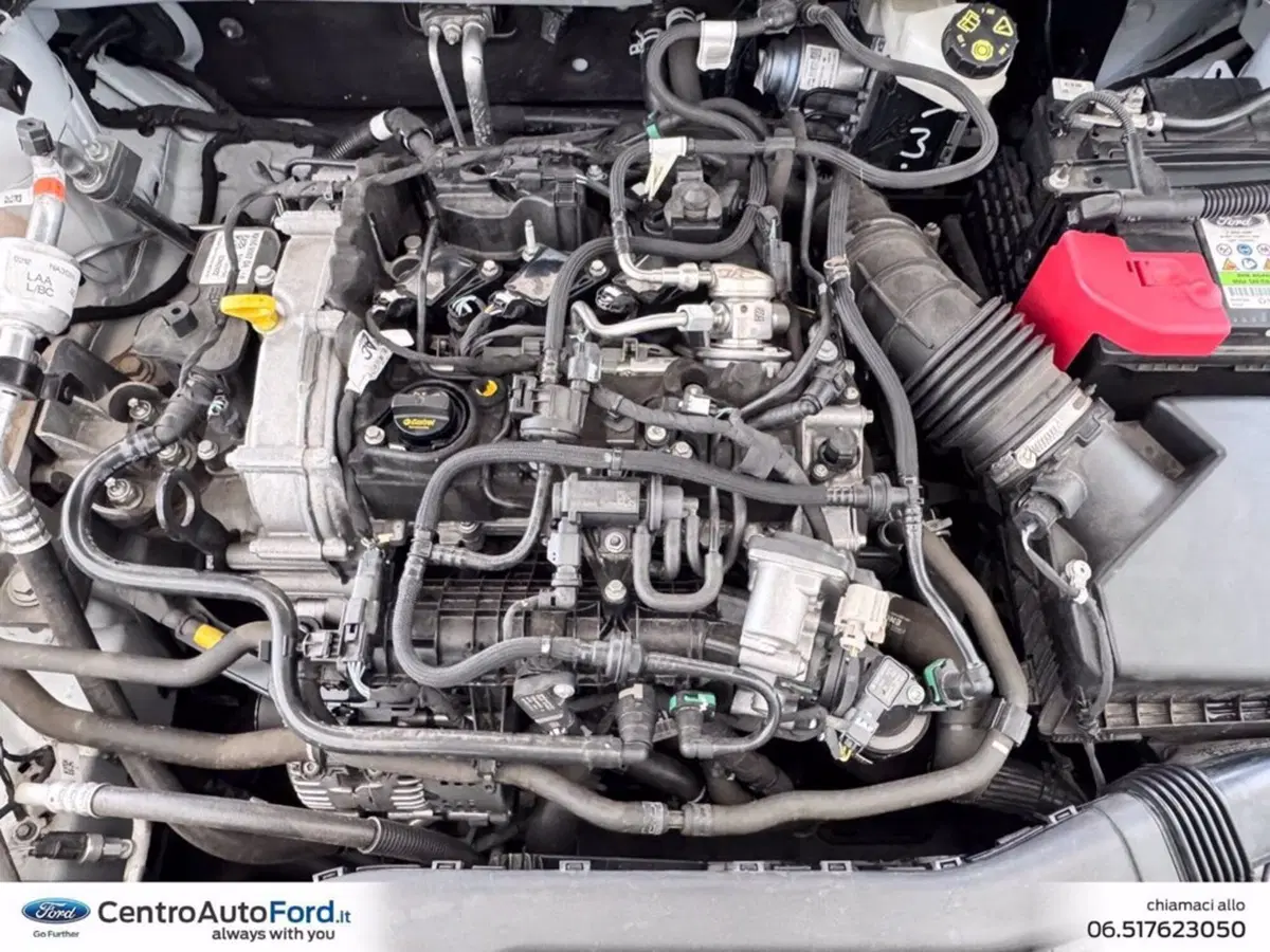 Ford Focus usata a Roma (12)