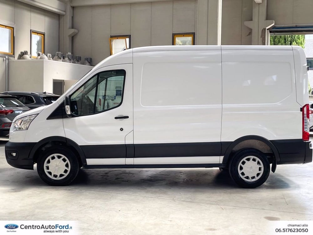 Ford Transit usata a Roma (3)